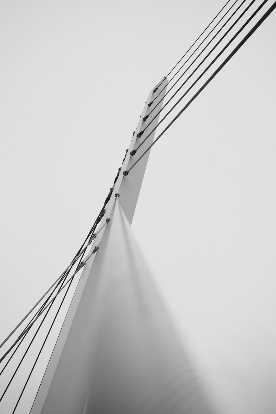 https://p2.img.cctvpic.com/photoworkspace/contentimg/2025/08/11/2025081109390432168.jpg